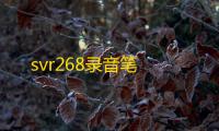 svr268录音笔